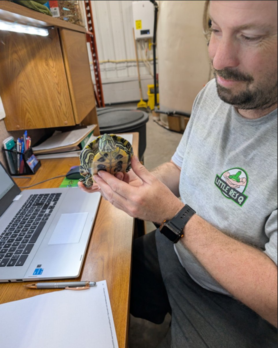 The Humane Society of KW & Stratford Perth tweet media
