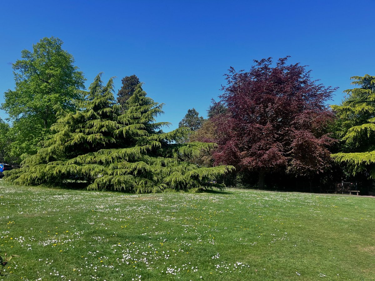 We would like to wish all students, staff, governors and their families a good half term. School reopens on Monday 2nd June which is a WKB