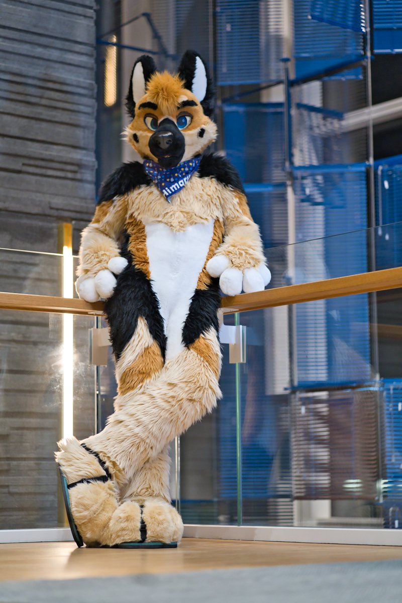 Himaru_Shepherd's tweet image. You want some Sheppy tonight or what ππ
#FursuitFriday
πΈ@kealianwolf