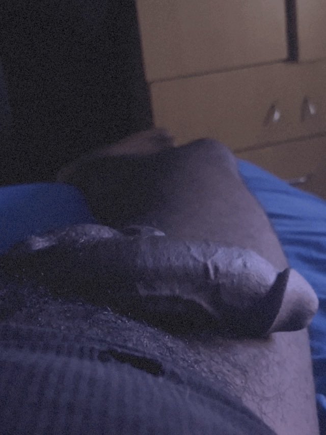 Knight Rider tweet media