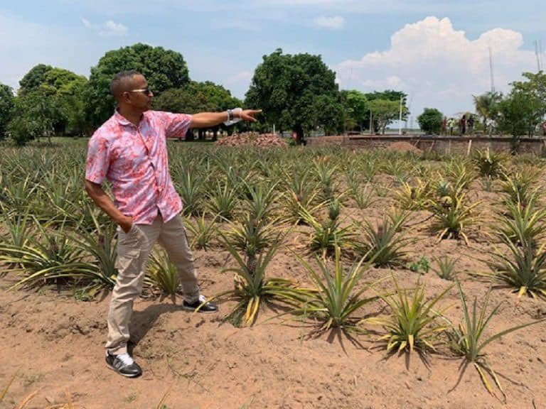 Tshibangukevin2's tweet photo. @StanysBujakera L'homme pragmatique de Kashobwe le président élu @moise_katumbi est un homme pragmatique
Tout c qe le Pdt @moise_katumbi touche change tjrs en or et voilà la preuve d la ferme #FUTUKA et d la ferme #M'SIRI d Kashobwe
J'attends qe Tshilombo ns montre son champ d Kabeya Kamwanga. https://t.co/xB4WEievyS