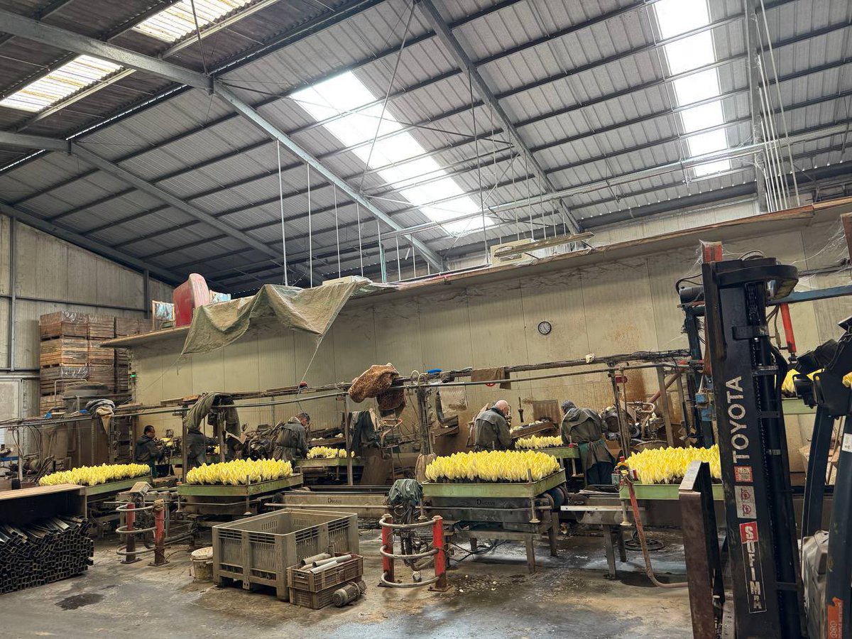 Ils sont à la tête d’une production de 2 200 tonnes par an ! Le GAEC Mazingarbe a Sainghin-en-Mélantois est un acteur majeur de l’économie agricole nordiste avec ses endives. 

Ce matin, avec les associés du GAEC, <a href="/LucMONNET/">Luc MONNET</a> et <a href="/JeanMoulliere/">Jean Moulliere</a>, nous avons pu visiter l’exploitation