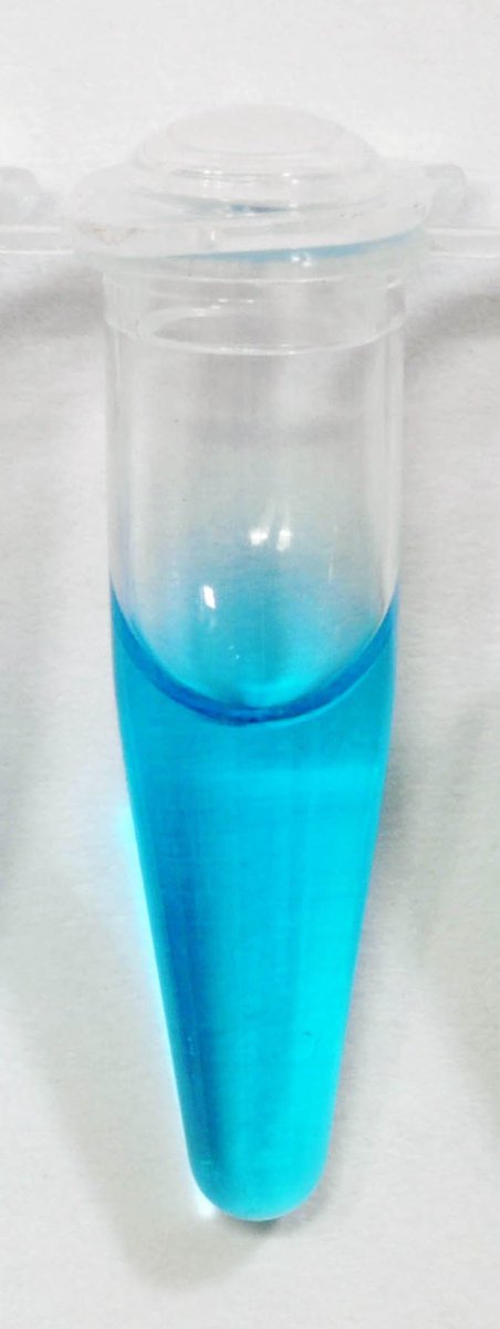 🎨🖌️🧫🧬🦠Smurfette painted with E. coli expressing EGFP (yellow) or small Ultra-Red Fluorescent Protein (cyan).🦠🧬🧫🖌️🎨
The name smURFP is inspired by the purified protein.
#FluorescenceFriday #SciArt #AgarArt #SciComm #FluorescentProtein #FluorescentProteins #smURFP