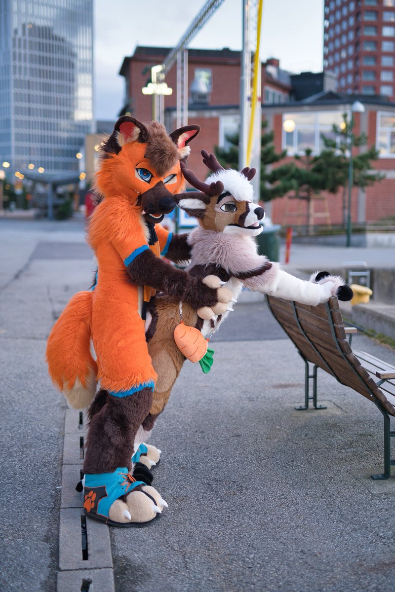 This maned wolf knows how to give back rubs 🥰☺️👉👈

#FursuitFriday 
🍊 🐺➡️<a href="/Space_Kalak/">Rusty 𓃡🍊🌌</a> 
📸<a href="/kealianwolf/">kealian 🔜 F M / BFD 17 / MFF</a>