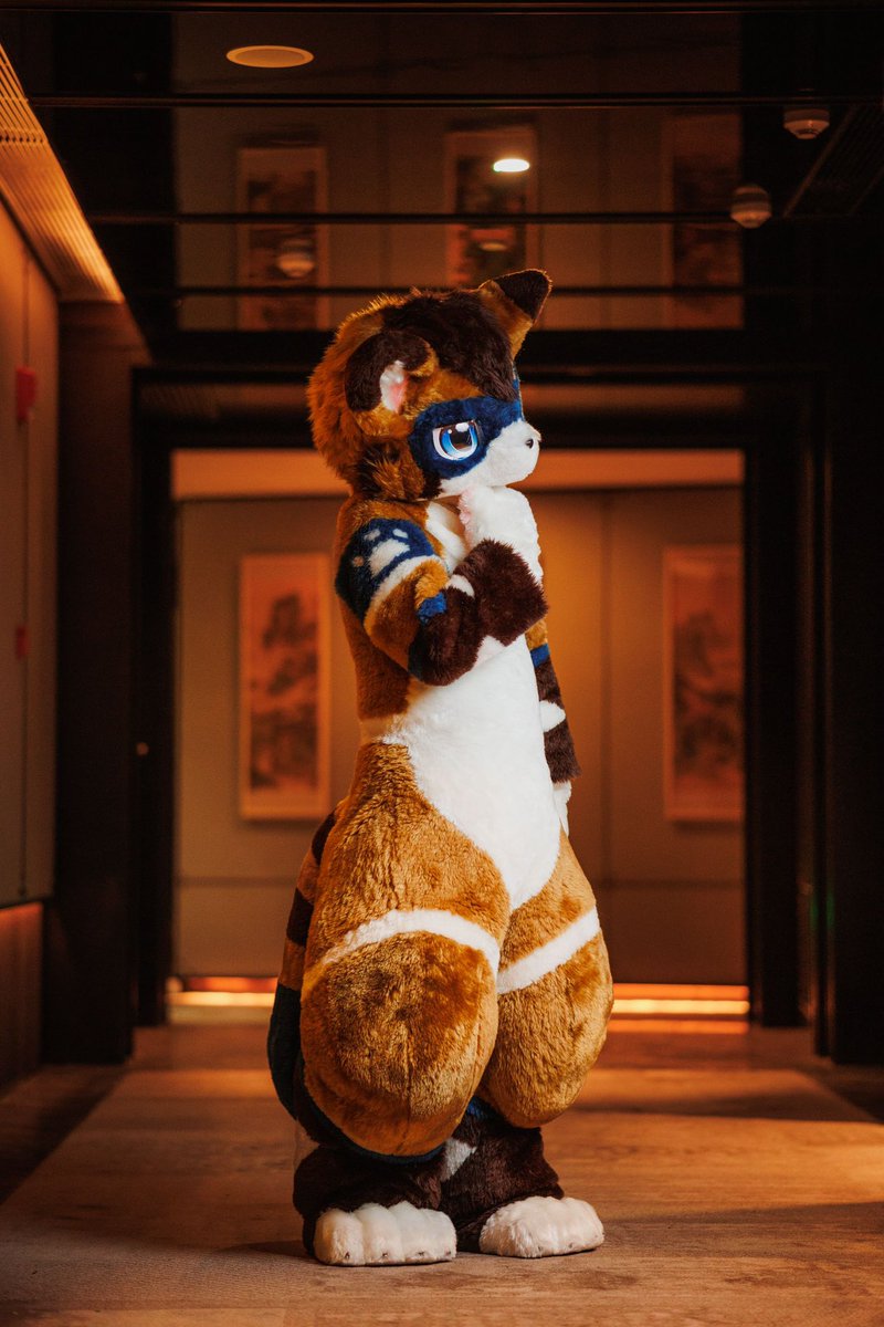 自语

Photo by <a href="/raimeiramen/">脏毛小狗</a> 
#FursuitFriday