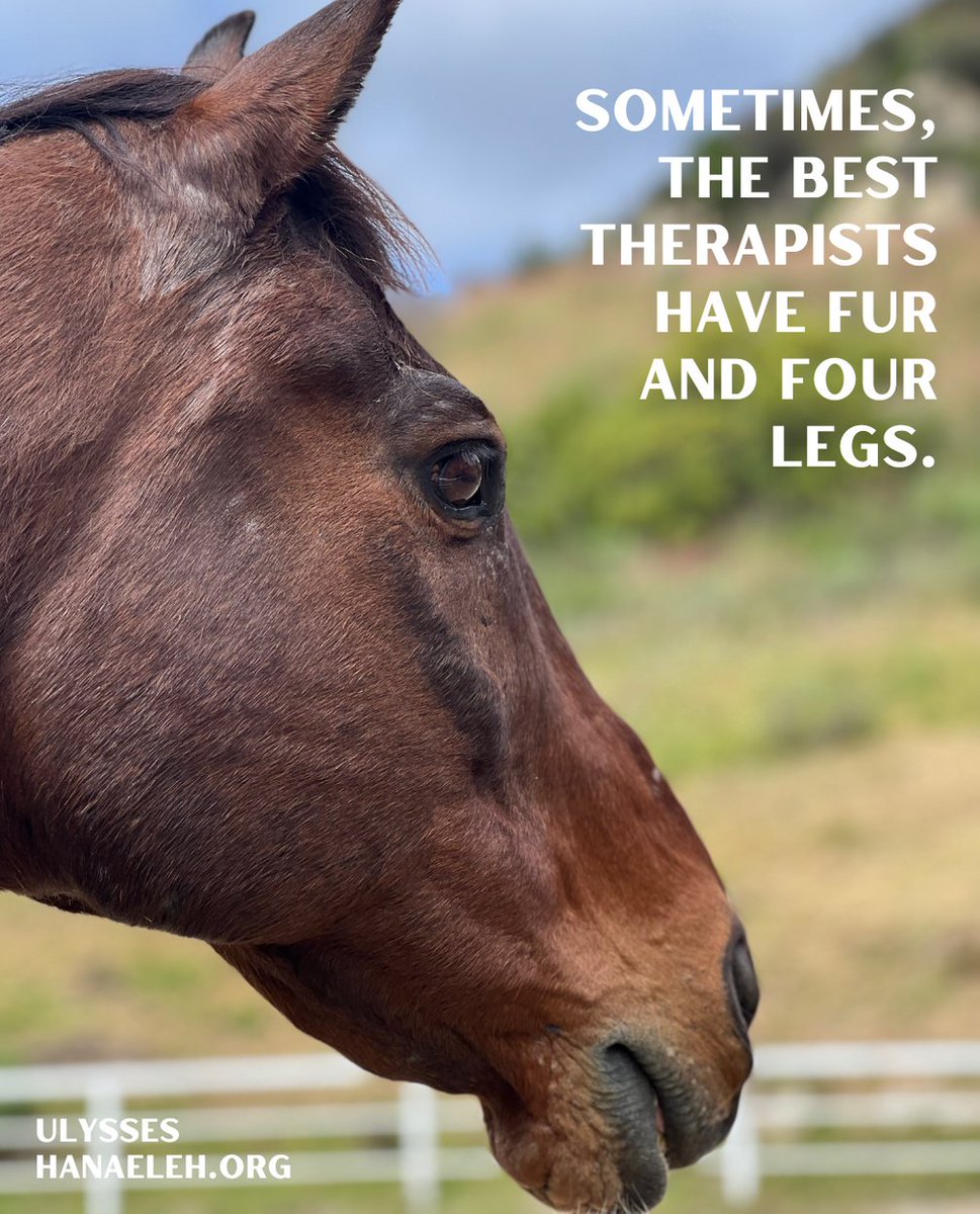 Hanaeleh (@hanaeleh) on Twitter photo 