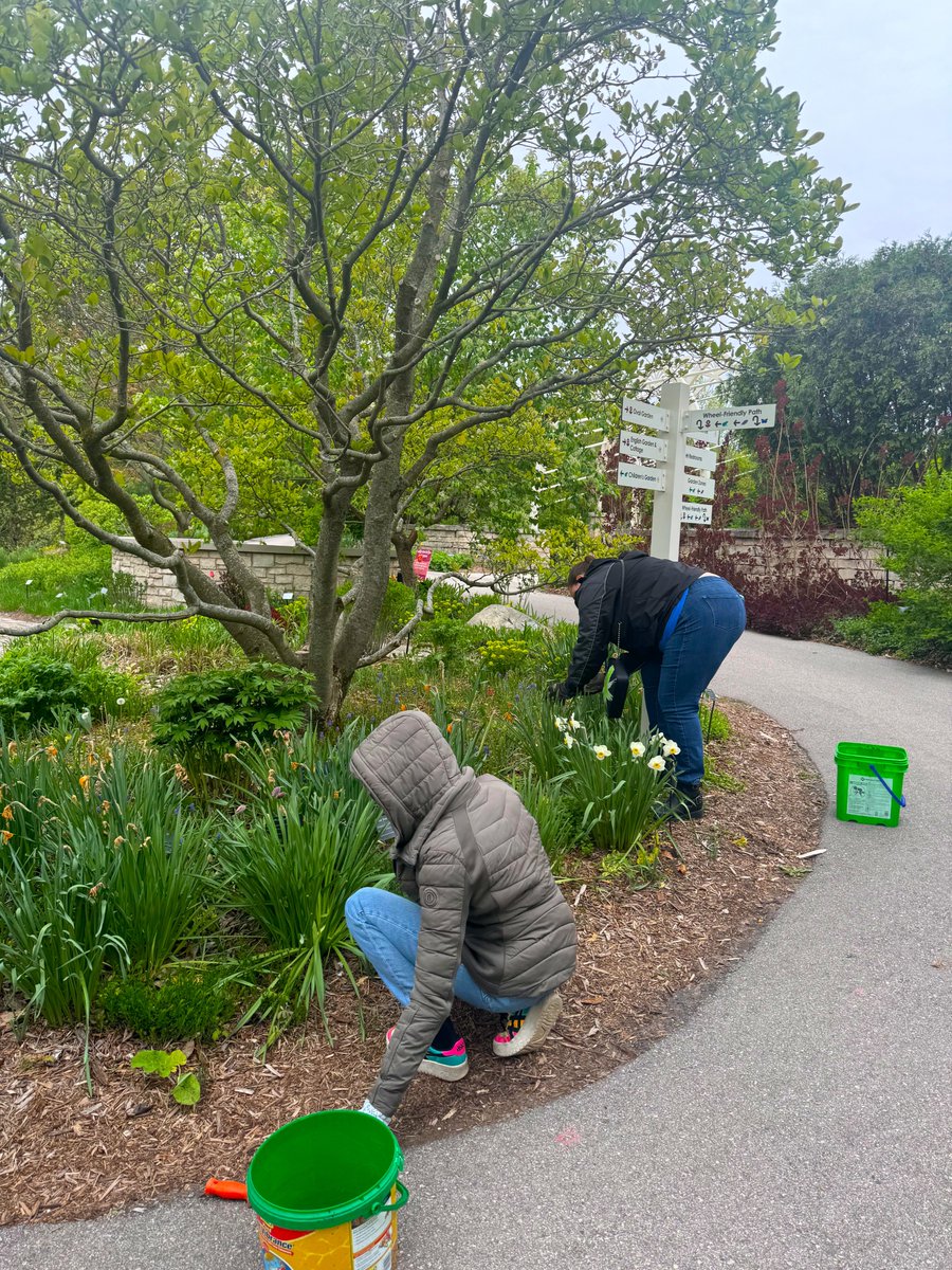 It was a great day to garden some beautiful flowers🌷🌼! Our LaForce employees volunteered this past Tuesday, working alongside the garden team at Botanical Gardens in Green Bay. Thank you to Botanical Gardens for the opportunity to volunteer at their lovely garden!