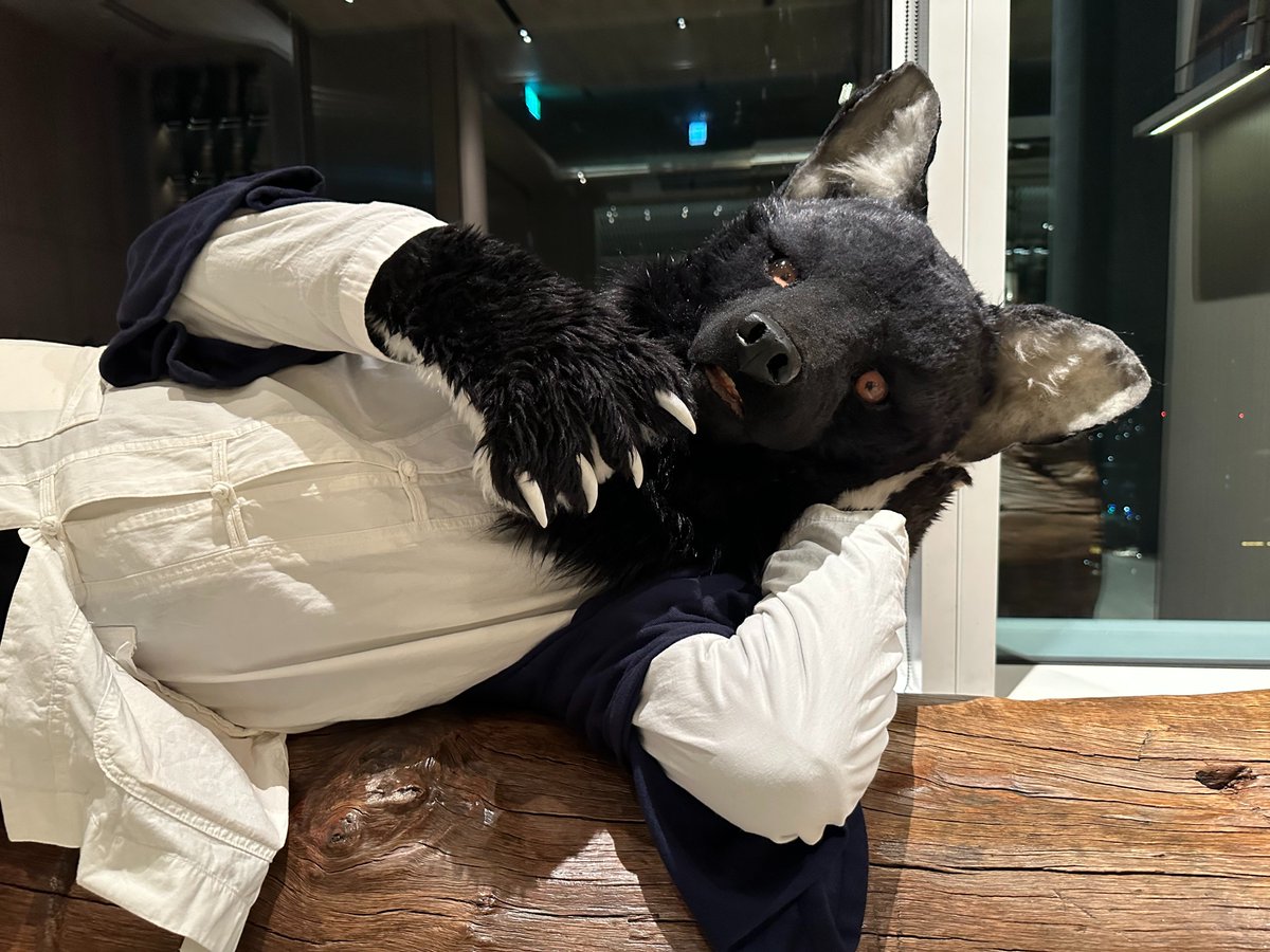 坦腹東床。        

攝影： <a href="/Raywolf_the_Fox/">雷沃ライヨウ🔜UTFG</a> 
#FursuitFriday