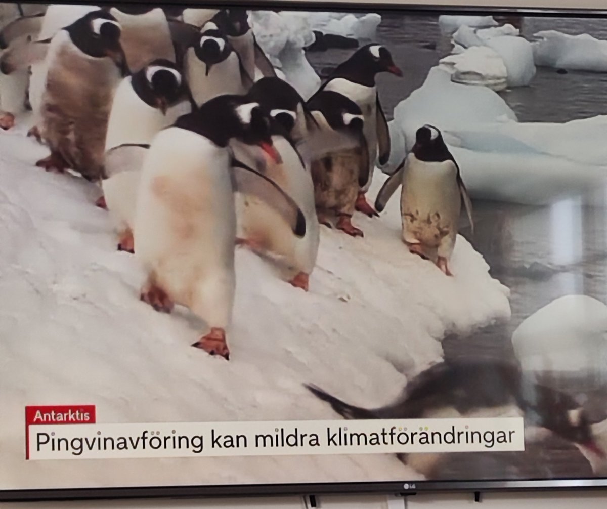 Forskargrupp ska söka nya pengar och måste hitta på något nytt att forska på...