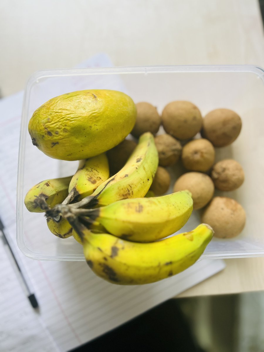 Nothing like Aai’slove ❤️
Just a few days back, mom sent these fresh fruits from our farm.
Exams going on, stress high — and then you get a taste of home in every bite.
Somehow, maa always knows what you need, even from miles away.
#motherslove #Farm #love #tweet #thoughts