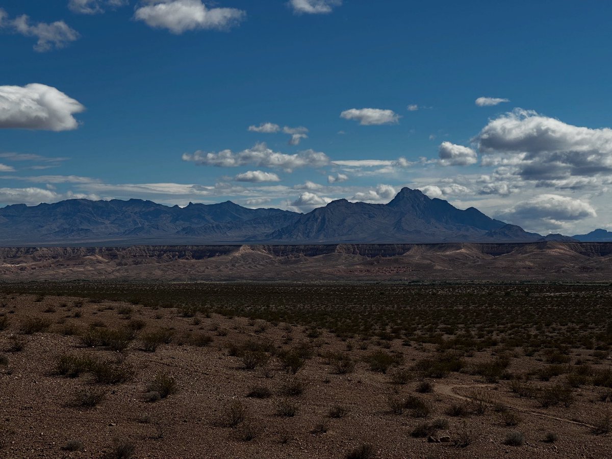 Mojave