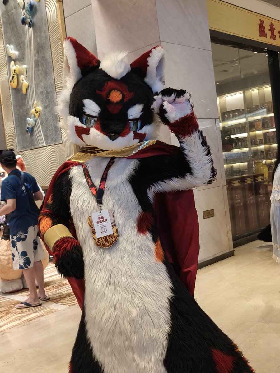 又有毛5️⃣可以发了
 #FursuitFriday
