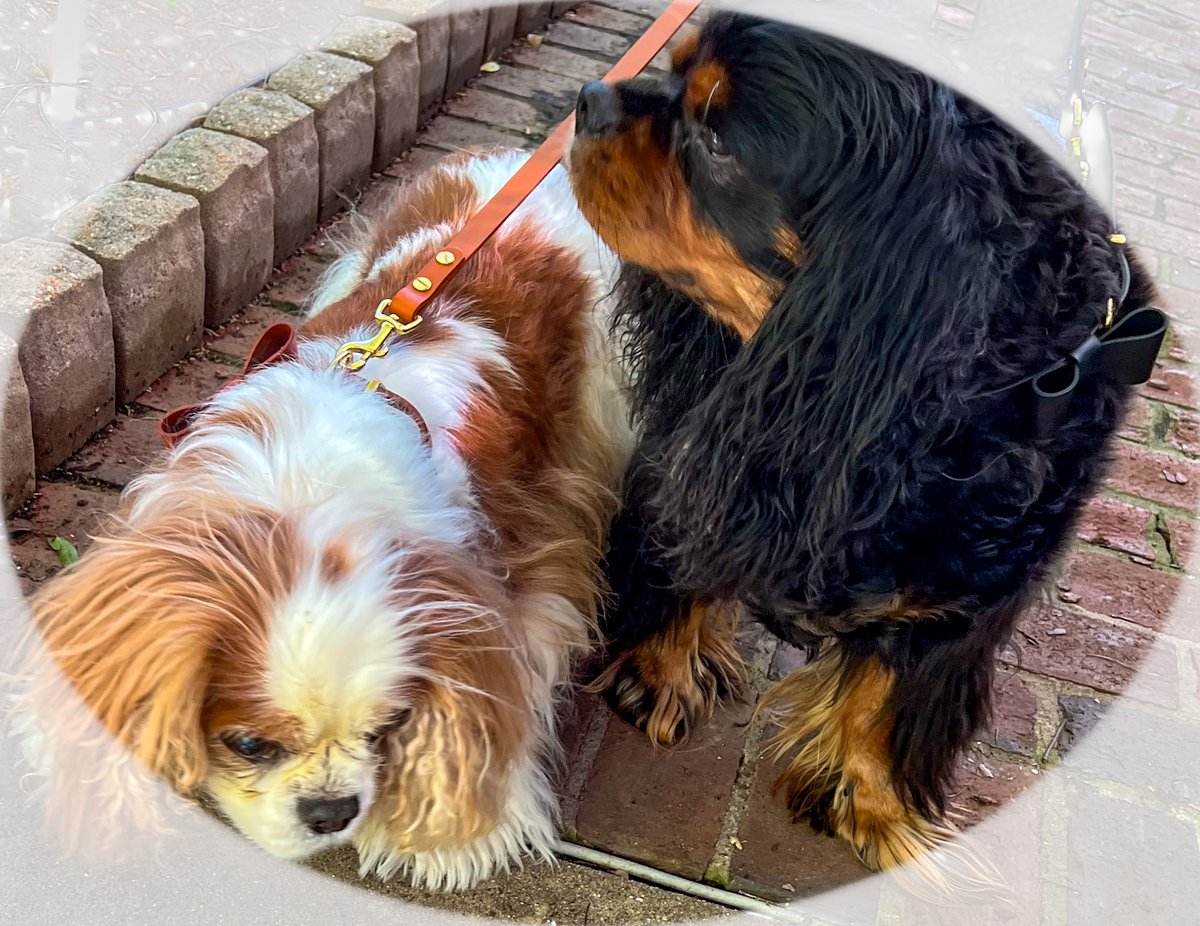 Chowhounds Night Out! Doggies with discerning palates recommend FoodBar. Read More <a href="/BhamRestaurants/">Bham Restaurants</a> 
birminghamrestaurants.com/Reviews/EntryI…