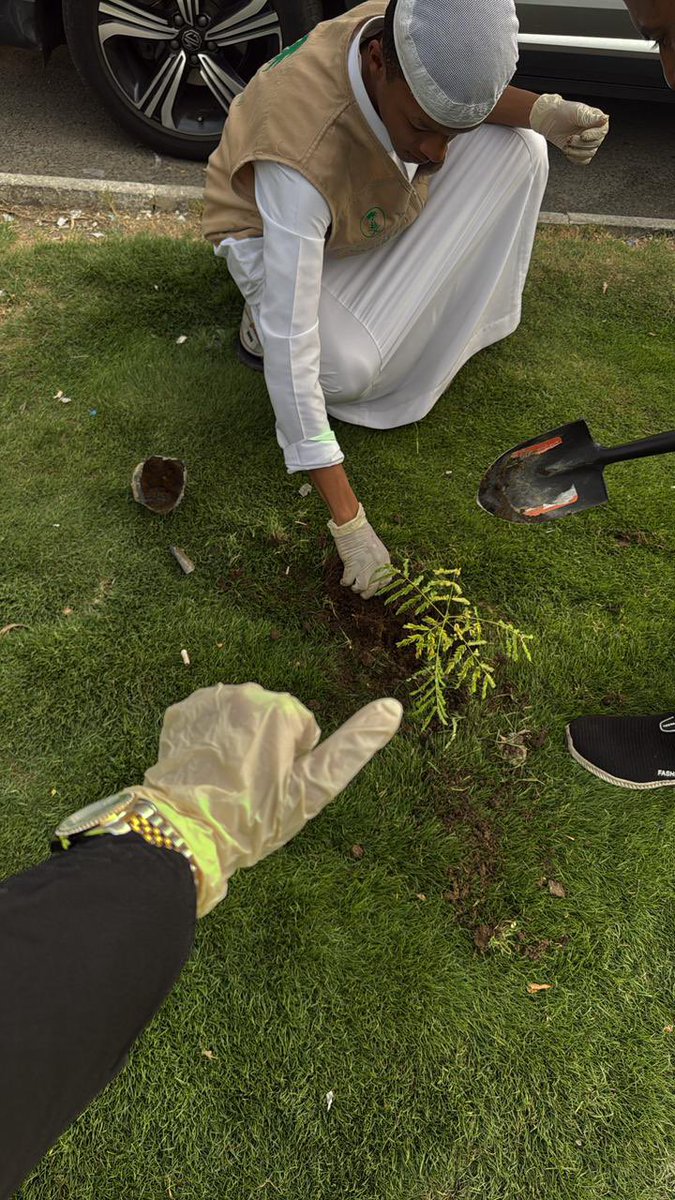 اثمر التطوعي البيئي tweet media