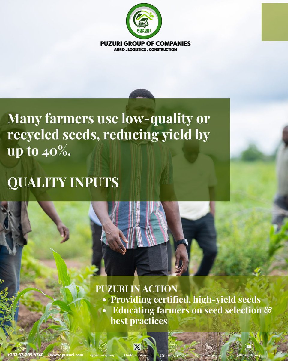 ThePuzuriGroup's tweet photo. From lack of access to quality inputs to unstable markets and climate shocks, Ghanaian farmers face real, daily struggles. But at Puzuri Agro, we’re not just watching — we’re working side-by-side with farmers to change the story. https://t.co/5fQ7t2xsK8