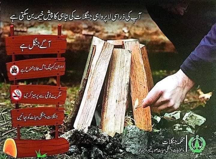 PirMusavirPTI's tweet photo. گرمیوں کے موسم میں جنگلات اور سیاحتی مقامات پر سیر کے دوران آگ جلانے سے اجتناب کریں،
یاد رکھیں، آپ کی ذرا سی لاپرواہی سے جنگلات میں آگ بھڑک سکتی ہے جس سے قیمتی درختوں کا نقصان ہونے کے ساتھ ساتھ جنگلی حیات کو بھی خطرات لاحق ہو سکتے ہیں
#KPForests https://t.co/Uwzxboc050