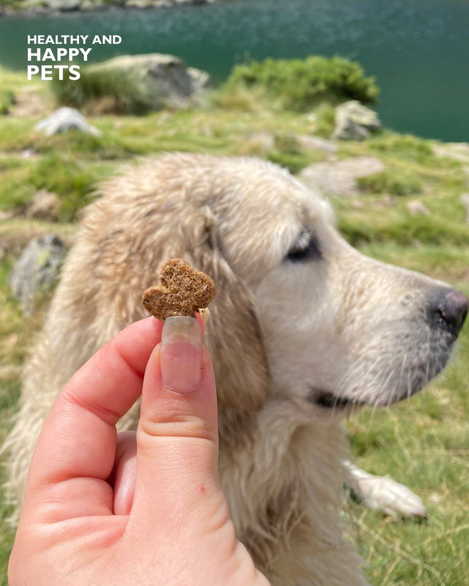 Mediterranean Natural tweet media