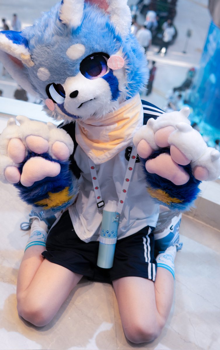 liangli99596771's tweet photo. 泥嚎...可以带我一起回家嘛？
#毛五 #FursuitFriday #兽太 #校服正太 https://t.co/JnGtFpPAM8