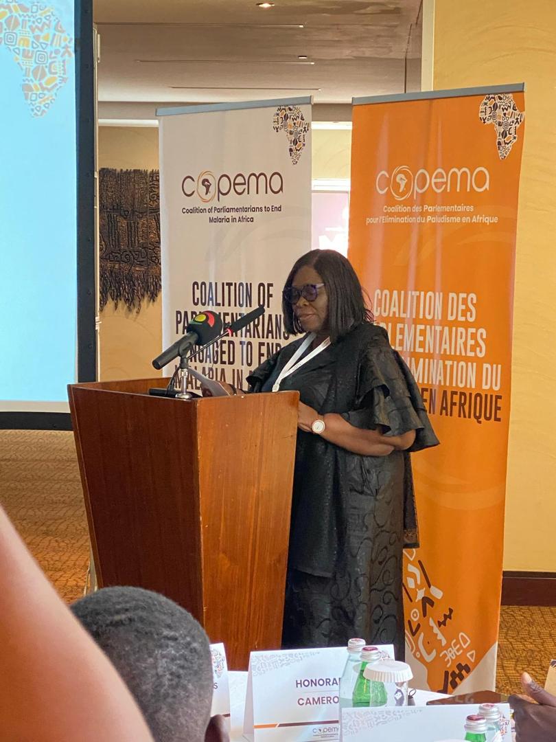 CRTV_web's tweet photo. The  initiative was launched during the regional strategic meeting in #Ghana from 28th-29th April in a meeting coordinated by @ImpSanteAfrique, #COPEMA secretariat. https://t.co/28iiYxU7qP
