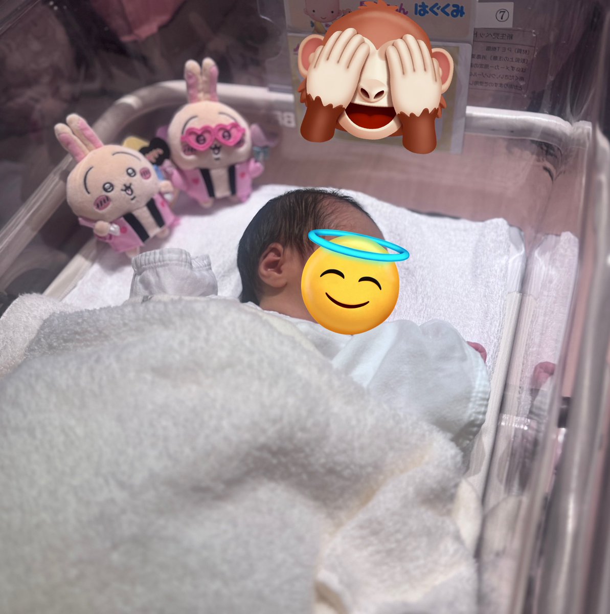 usagimaru922's tweet photo. 先日ほわほわのかわいい女の子を出産しました♡
うさぎも応援してくれました🐰 https://t.co/UoWzrcFkPq