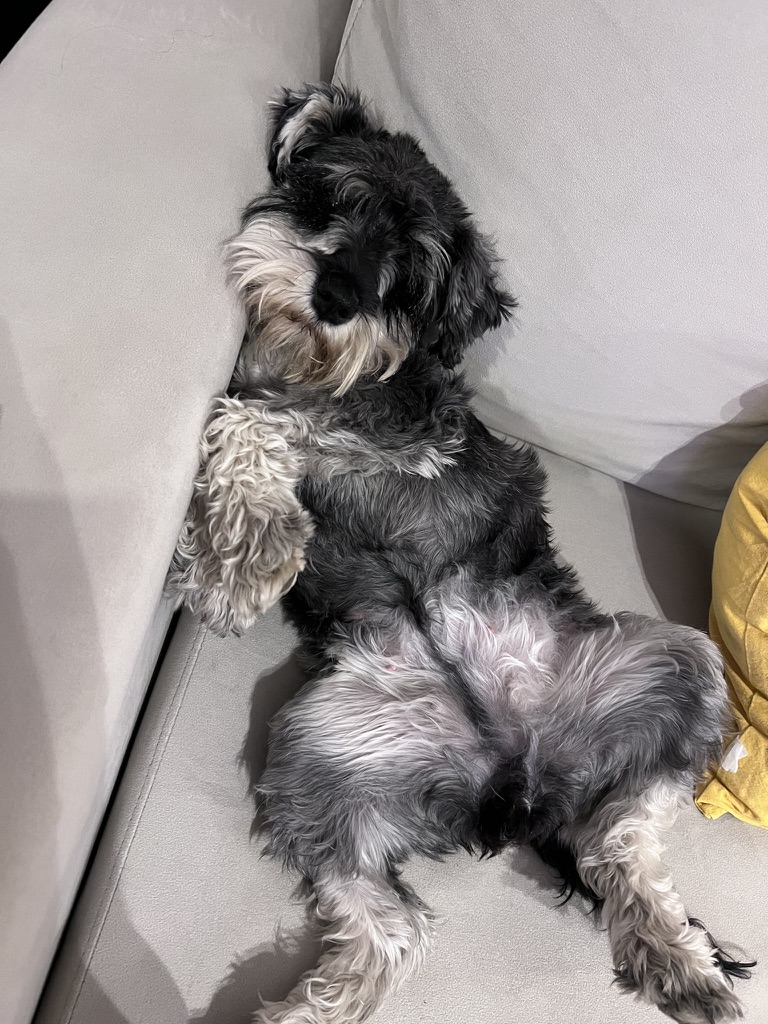 Gabriel 🇦🇷 tweet media