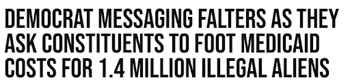 Illegal immigrants should not receive a single taxpayer-funded benefit.