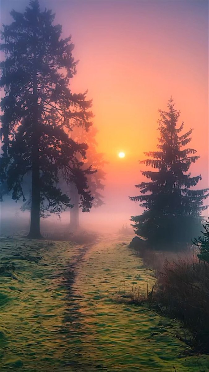 JevticMilka's tweet photo. Zalazak https://t.co/Gjw0Cze4PK