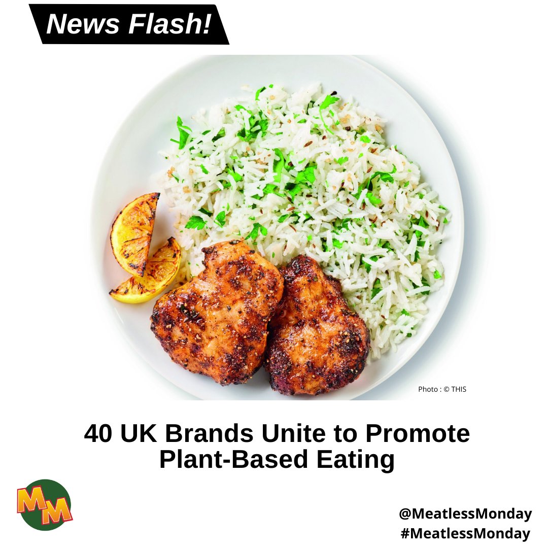 Meatless Monday (@meatlessmonday) on Twitter photo Over 40 UK brands are coming together to launch a groundbreaking campaign, Meat Free Made Easy!
<a href="/fablefoodco/">fable</a> <a href="/explorecuisine/">Explore Cuisine</a> @crackd_it <a href="/clivespies/">Clive's</a> @clearspringuk @cauldronfoods <a href="/bosh/">brian bosh ๐บ</a>.tv <a href="/biffs_uk/">Biffโs Plant Shack</a> @beyondmeat @betternature_@frysfamily <a href="/lavielife/">badi</a> <a href="/juicymarbles/">juicy marbles</a> @goshfreefrom Over 40 UK brands are coming together to launch a groundbreaking campaign, Meat Free Made Easy!
<a href="/fablefoodco/">fable</a> <a href="/explorecuisine/">Explore Cuisine</a> @crackd_it <a href="/clivespies/">Clive's</a> @clearspringuk @cauldronfoods <a href="/bosh/">brian bosh ๐บ</a>.tv <a href="/biffs_uk/">Biffโs Plant Shack</a> @beyondmeat @betternature_@frysfamily <a href="/lavielife/">badi</a> <a href="/juicymarbles/">juicy marbles</a> @goshfreefrom