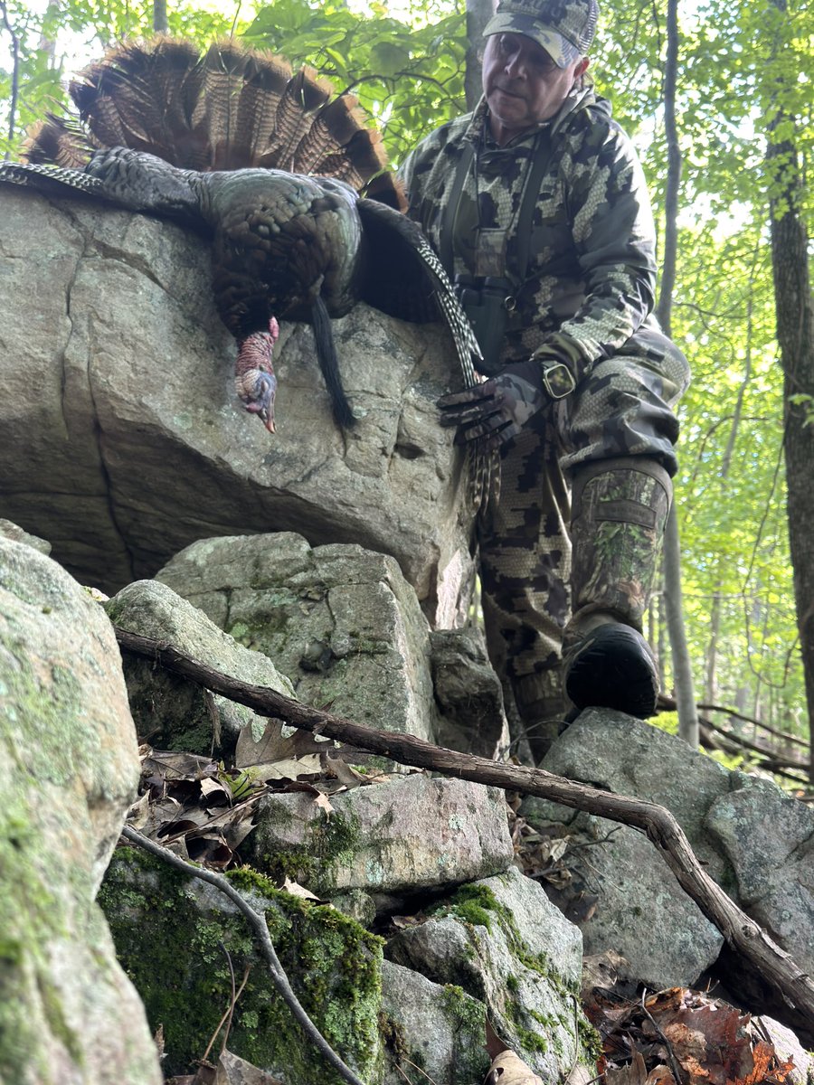 doug or Turk tweet media