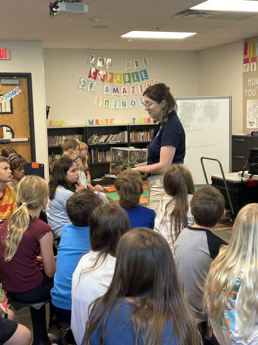 EPiC Elementary School- Studio 3 tweet media