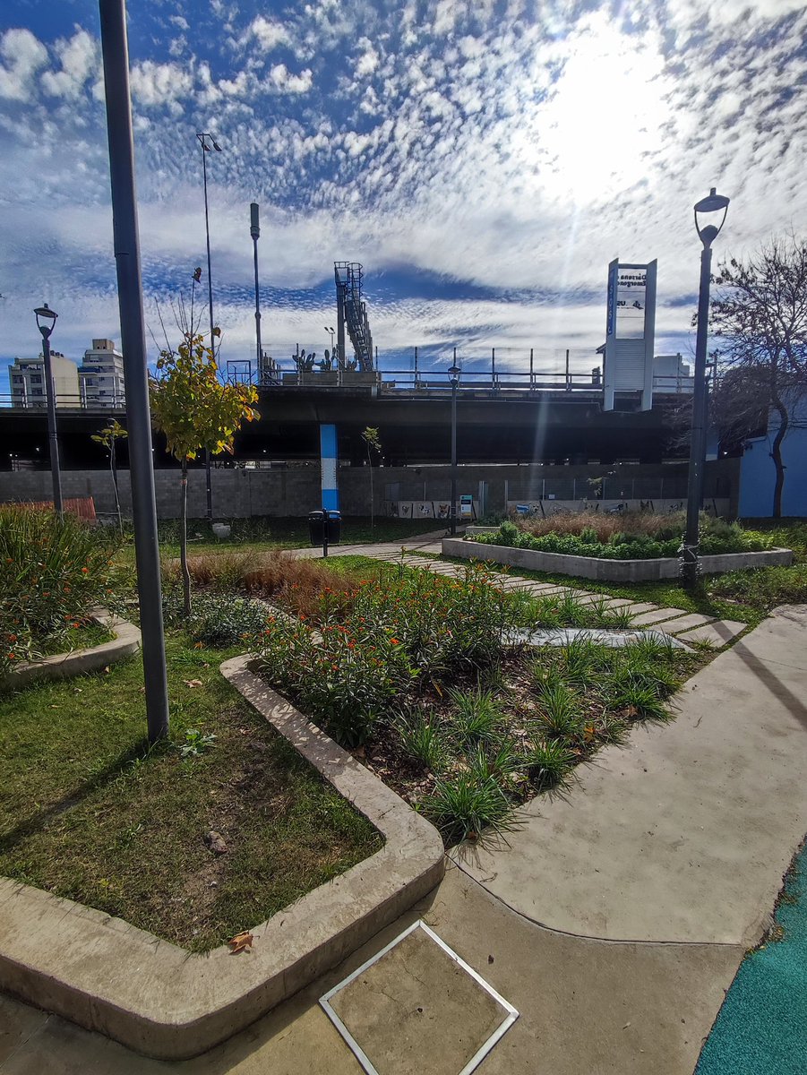 Sebastián Perdomo tweet media