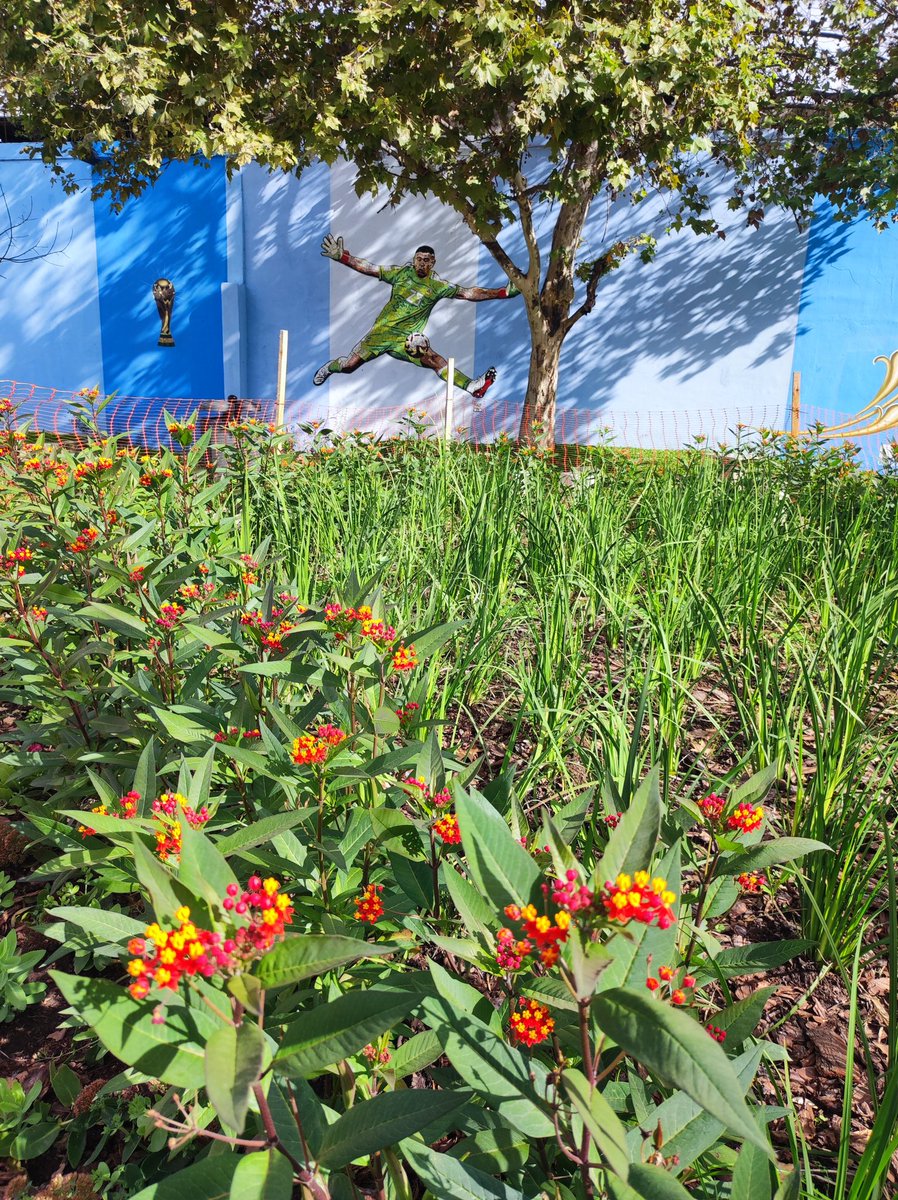 Sebastián Perdomo tweet media