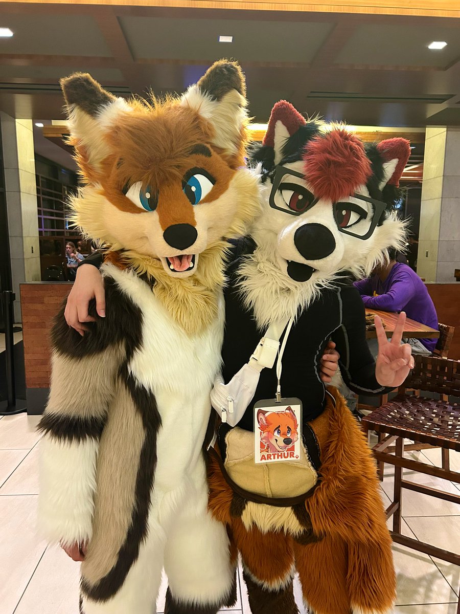 FOXES BECOMING DOGS AND DOGS BECOMING FOXES!?? 😦🦊 🐶🐶✨

With <a href="/ZitoTheHusky/">Zito 🔜 AC</a> and <a href="/Cartooncoon/">Cody</a> 🤍🧡

#FursuitFriday