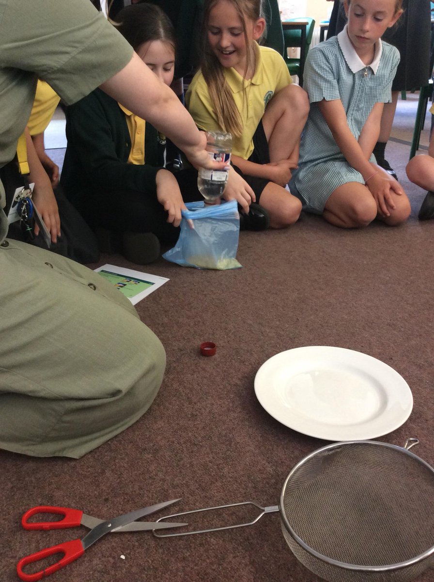 Year 4,5 and 6 children have been learning about the body in fun ways. Kingfishers explored the digestive system using real life ingredients and were highly amused by the end of the digestive journey! Falcons created amazing circulatory system and blood models.💚Aspiration💛