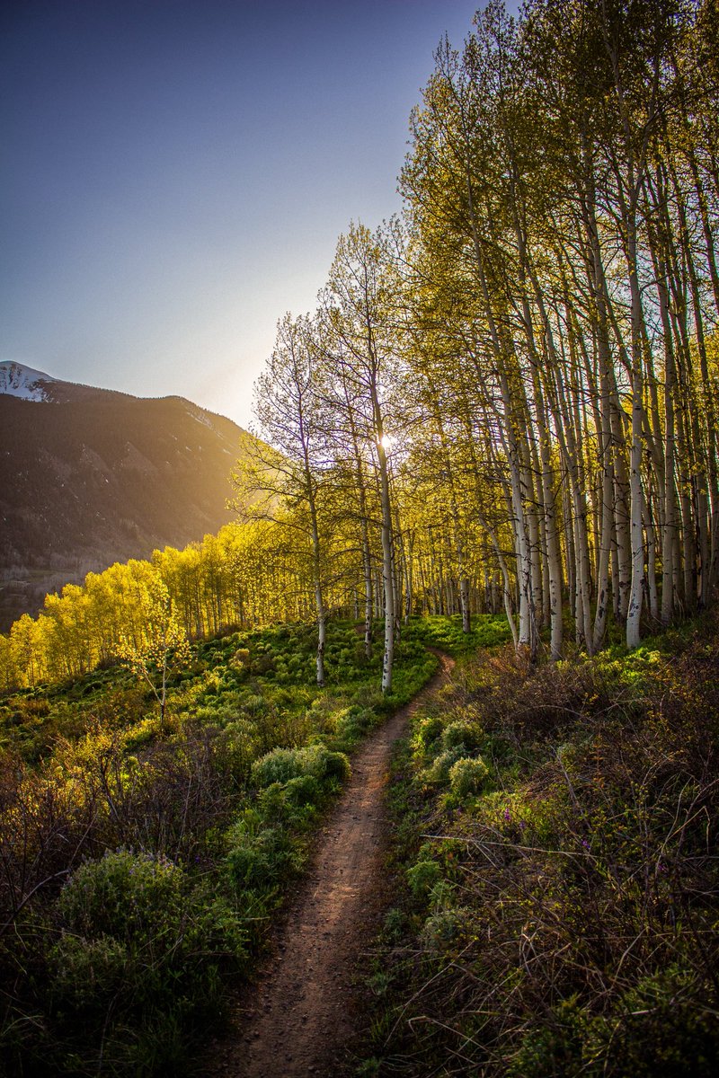 Travel Crested Butte tweet media