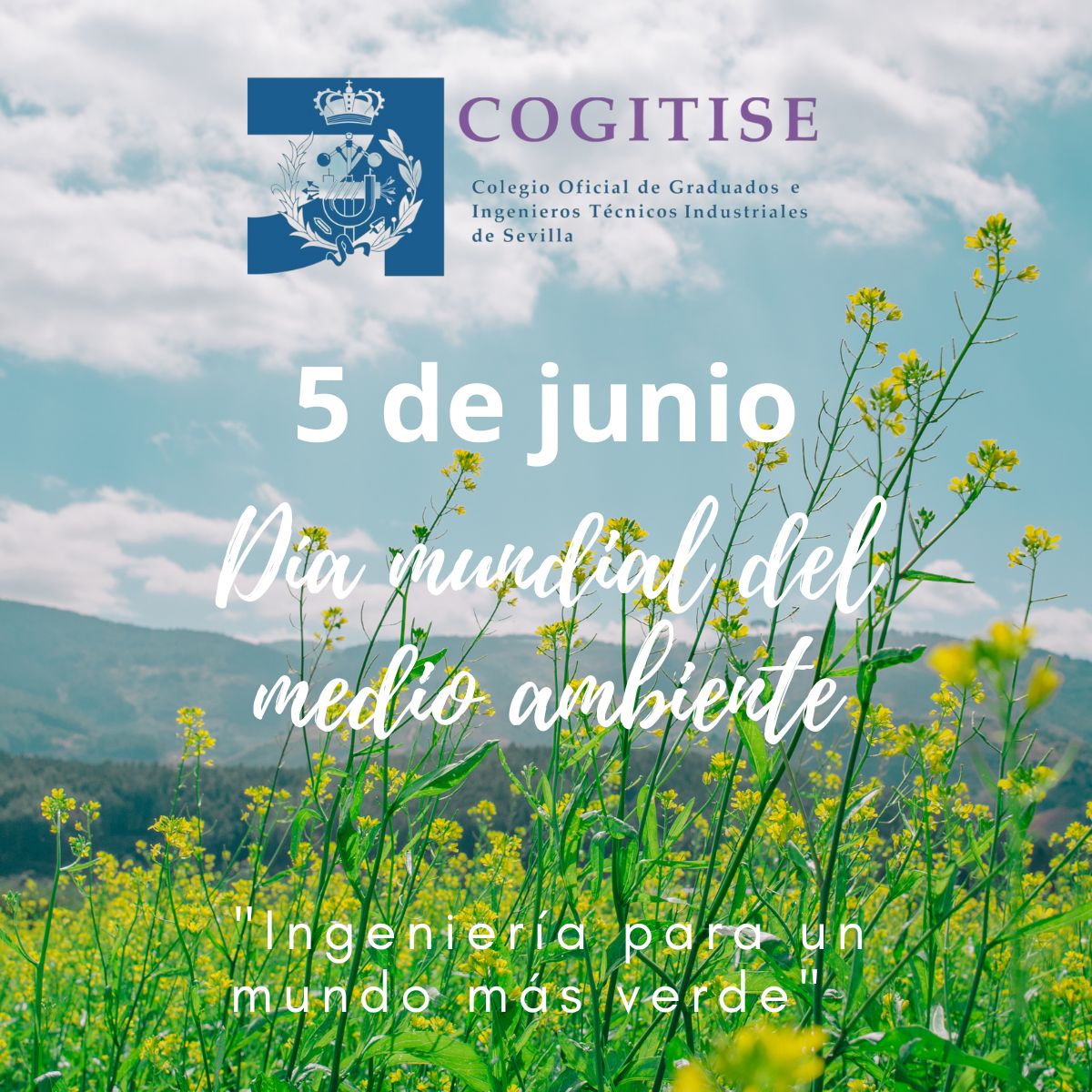 COGITISE (@cogitise) on Twitter photo 🌳 Feliz Día Mundial del Medio Ambiente
Hoy es un día para recordar la importancia y la responsabilidad que tenemos con el cuidado de nuestro planeta 🌎 especialmente desde la ingeniería técnica industrial. 🌱 🌳 Feliz Día Mundial del Medio Ambiente
Hoy es un día para recordar la importancia y la responsabilidad que tenemos con el cuidado de nuestro planeta 🌎 especialmente desde la ingeniería técnica industrial. 🌱
