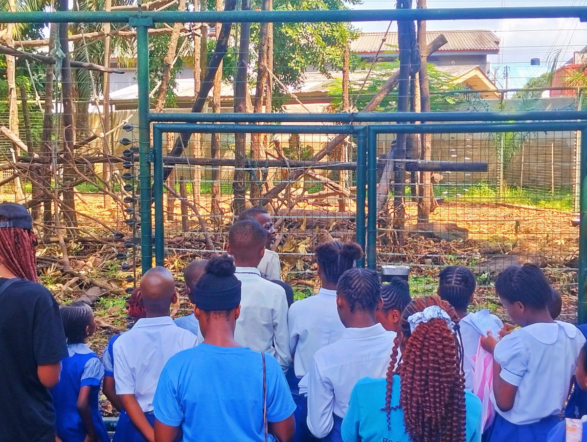BRC_NG's tweet image. #ConservationEducation is more urgent than ever. We are witnessing an unprecedented decline in global biodiversity. @BRC_NG  field excursion is aimed at empowering young minds with the knowledge, skills, and inspiration to champion #HarmonyWithNatureAndSustainableDevelopment