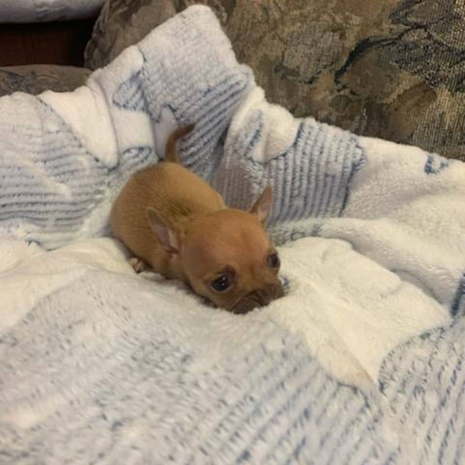 Pfp and Banner updated on Dex, go check it out.

Animated one aswell.