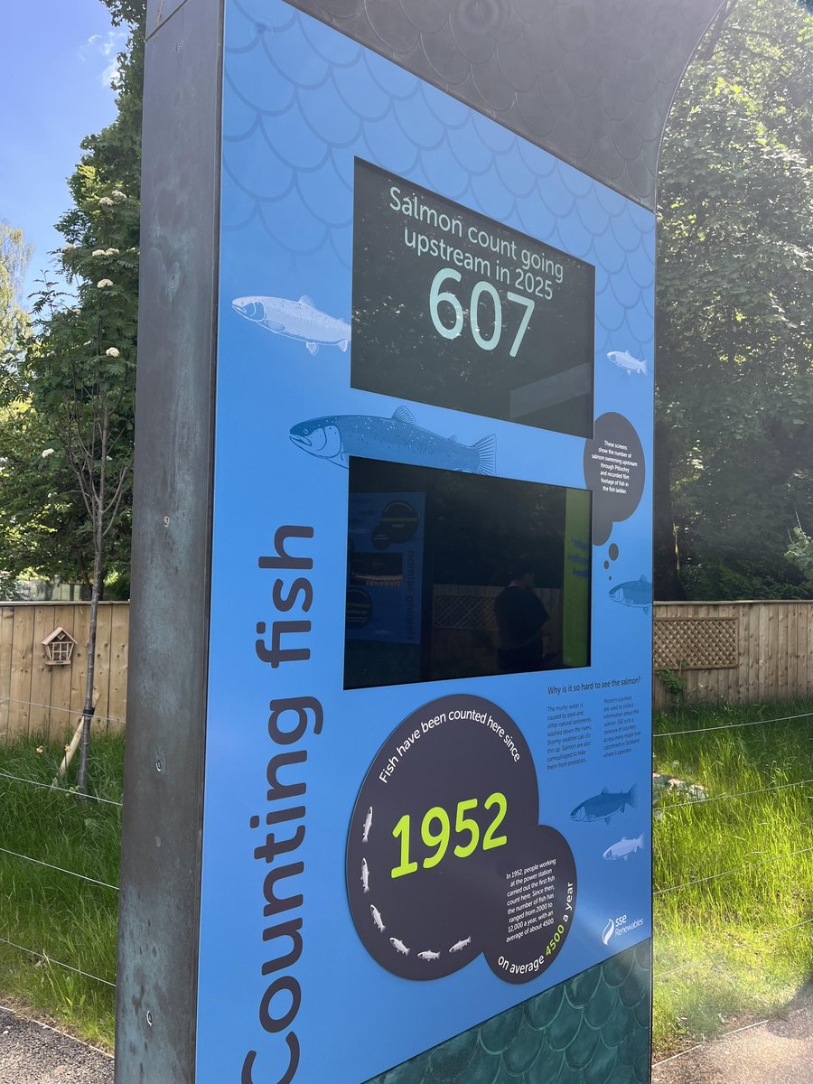 Ladder count 607
Water Temp 59F  (15C)
Friday  23/5/25    12:58 BST
An incredibly hot, dry spell but at least cold nights have kept the water temp at reasonable levels.  Rain in the forecast - will believe it when I see it!