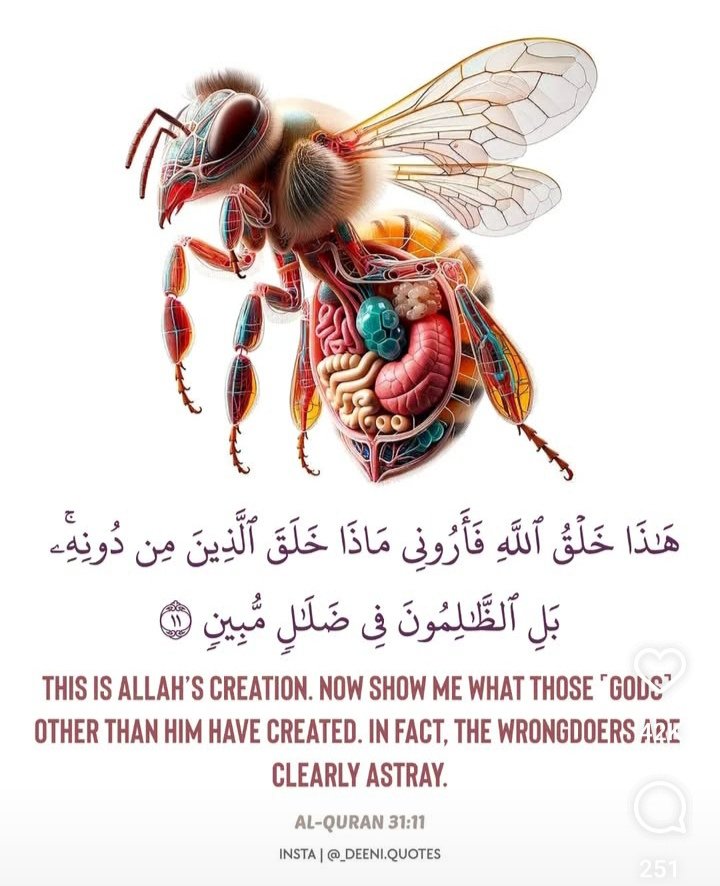 salahudeen33's tweet photo. Indeed! Allah is best of Creators https://t.co/l80F21asS2