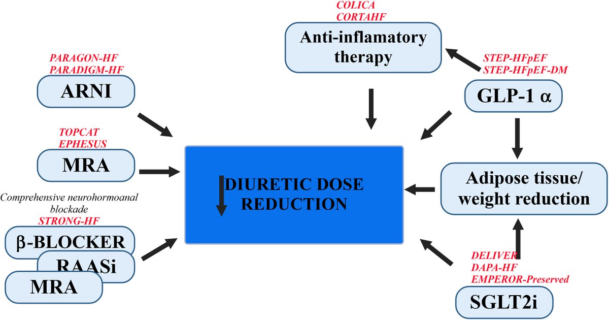 JACC Journals (@jaccjournals) on Twitter photo Despite widespread use, loop diuretics lack RCT evidence for survival benefit in #heartfailure. This #JACCHF commentary examines risks of chronic use and how GDMTs may enable diuretic de-escalation. Read more: jacc.org/doi/abs/10.101…
#GDMT <a href="/JanBiegus/">Jan Biegus</a> <a href="/MarcoMetra/">Marco Metra</a> <a href="/ppponikowski/">Piotr Ponikowski</a> Despite widespread use, loop diuretics lack RCT evidence for survival benefit in #heartfailure. This #JACCHF commentary examines risks of chronic use and how GDMTs may enable diuretic de-escalation. Read more: jacc.org/doi/abs/10.101…
#GDMT <a href="/JanBiegus/">Jan Biegus</a> <a href="/MarcoMetra/">Marco Metra</a> <a href="/ppponikowski/">Piotr Ponikowski</a>