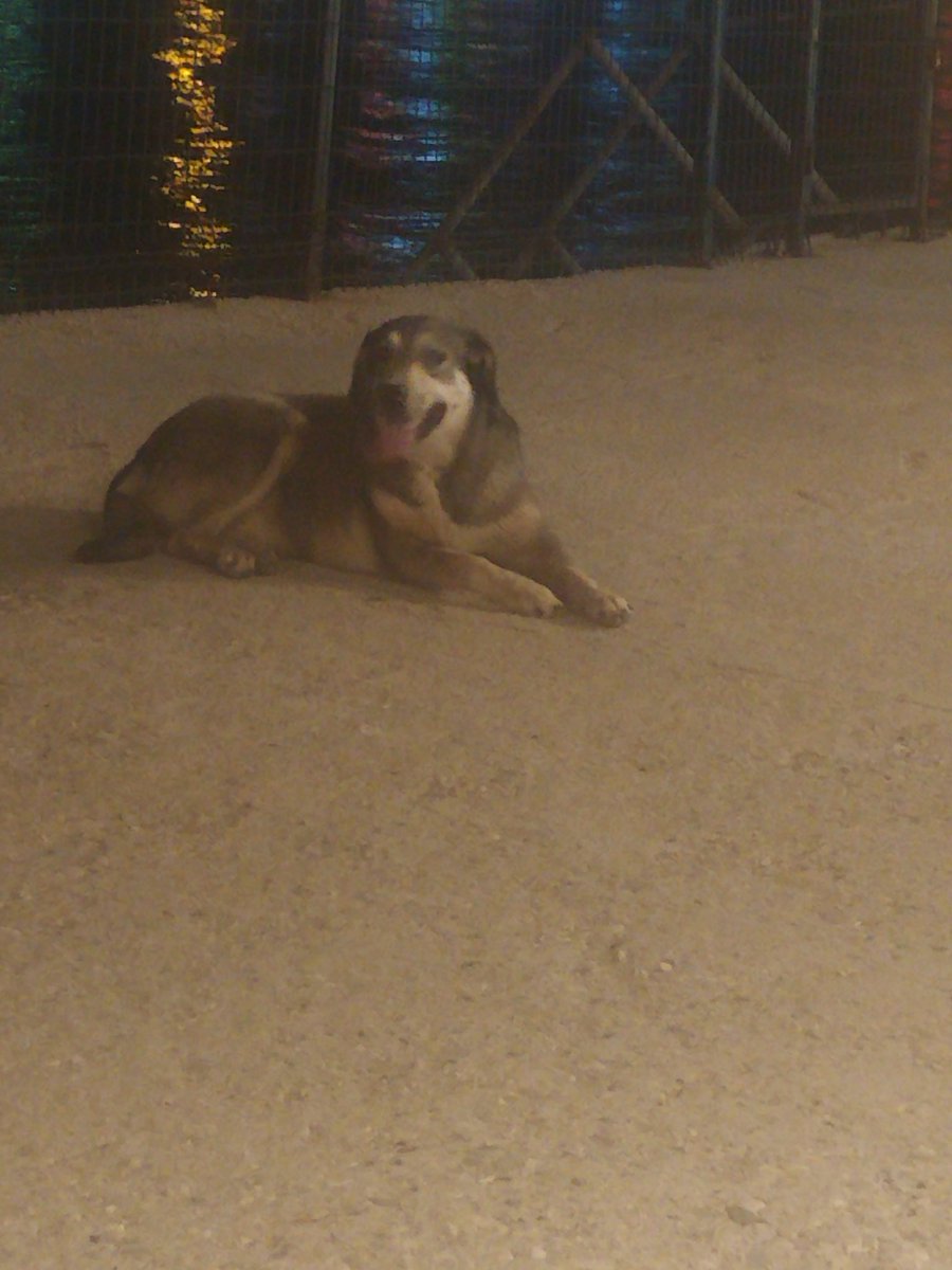 Bugünkü onur konuğumuz