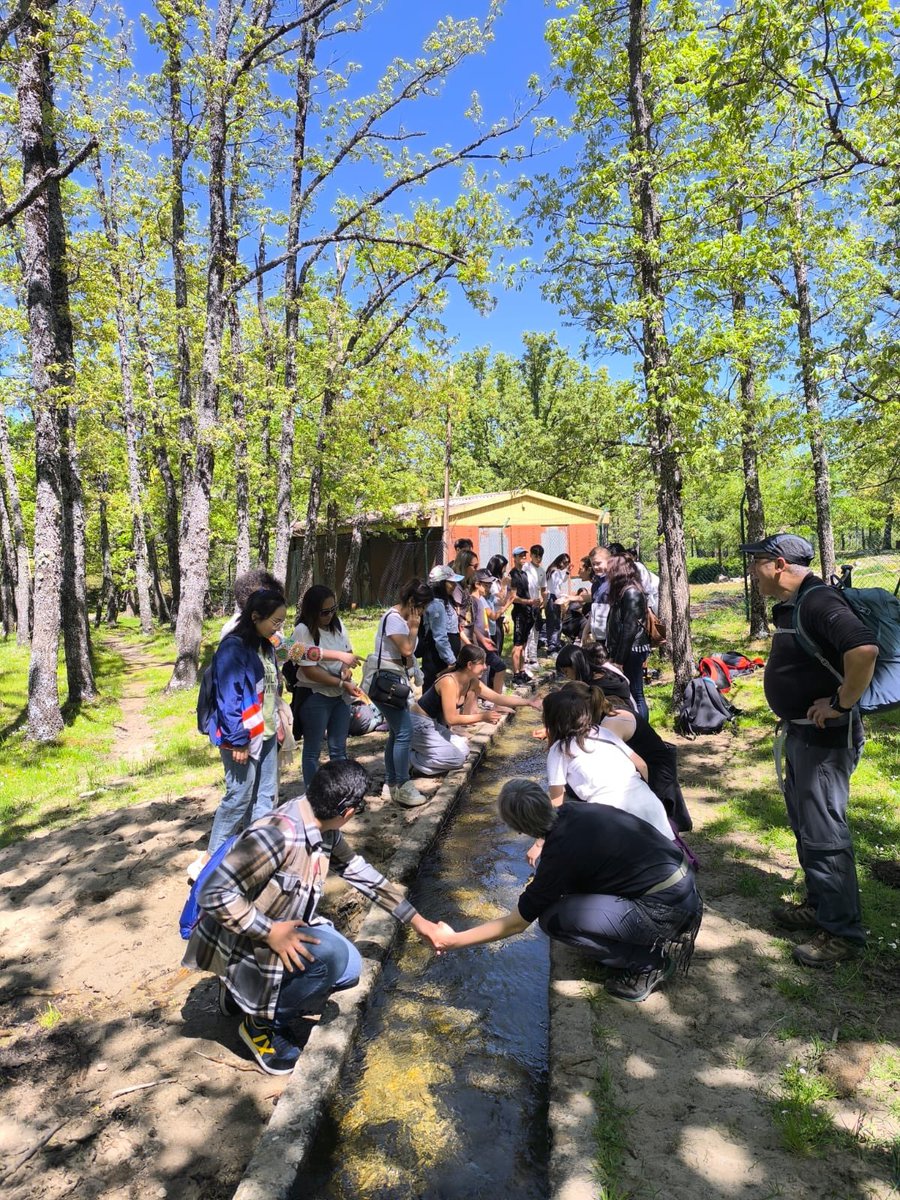 Hoy hemos pasado el día en los alrededores del albergue Los batanes de Rascafría con varios alumnos de 3 de la ESO. Así hemos concluido la participación de este año en el Programa de Escuelas sostenibles de la Comunidad de Madrid #PES