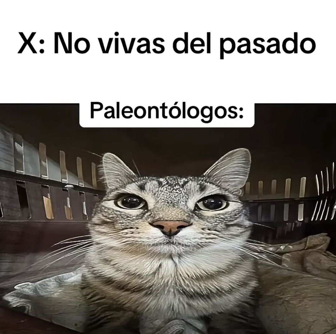 nacional_memes's tweet photo. 🐶 https://t.co/8e357f3cWA