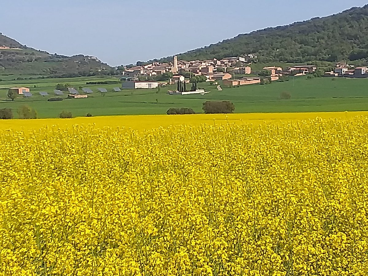Monestir de les Avellanes tweet media