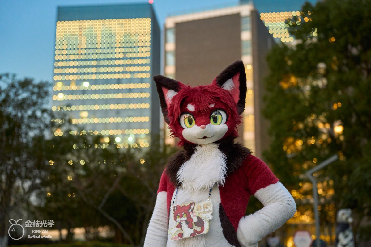 Metropolitis cat
📷:<a href="/LittleApplecat/">Gomeow·金桔·柠檬茶</a>
#FursuitFriday