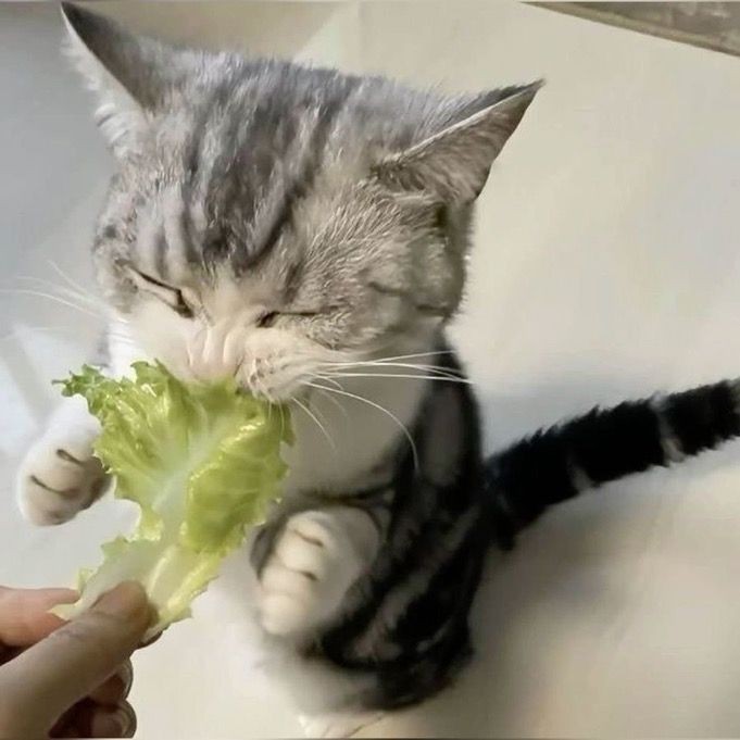 *crunch*