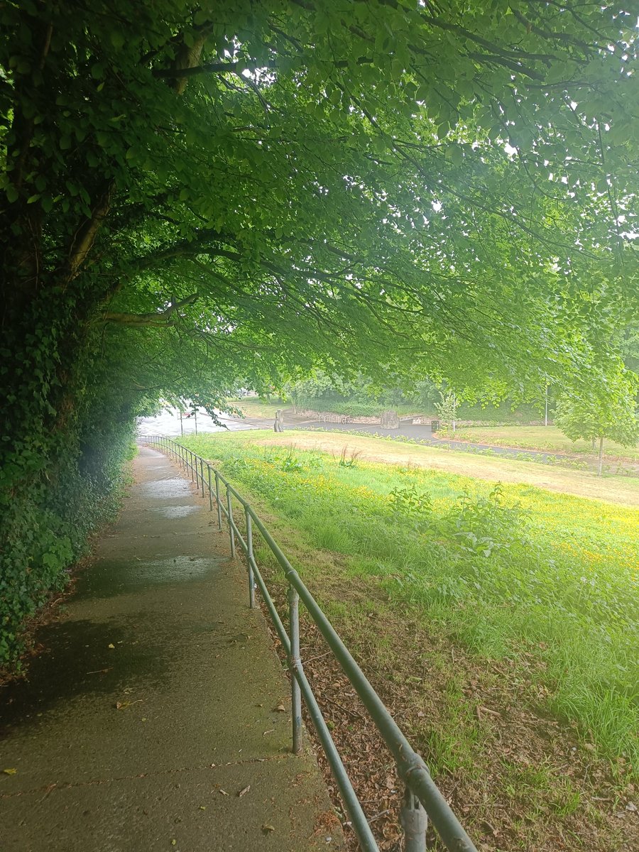 Don't concern yourself with the elements. You are the strongest composition of chemistry that walks this earth.

Rain? Good. We'll find shelter beneath those thunderstruck trees. But pain is something that we must welcome with blazing arms.

I feel fucking amazing right now.