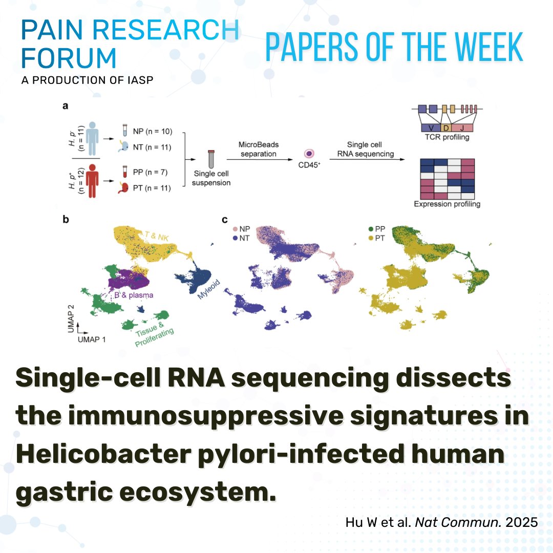 IASP (@iasppain) on Twitter photo Check out this #PapersoftheWeek #EditorsPick from Hu et al. and <a href="/NatureComms/">Nature Communications</a> showing evidence that single-cell RNA sequencing dissects immunosuppressive signatures in Helicobacter pylori-infected human gastric system bit.ly/3Yvh9G2 #PRF Check out this #PapersoftheWeek #EditorsPick from Hu et al. and <a href="/NatureComms/">Nature Communications</a> showing evidence that single-cell RNA sequencing dissects immunosuppressive signatures in Helicobacter pylori-infected human gastric system bit.ly/3Yvh9G2 #PRF