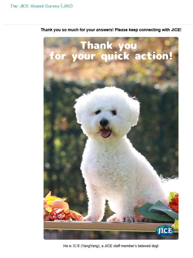 A dog photo at the end of JICE survey.. 
かわいい🐾🐶